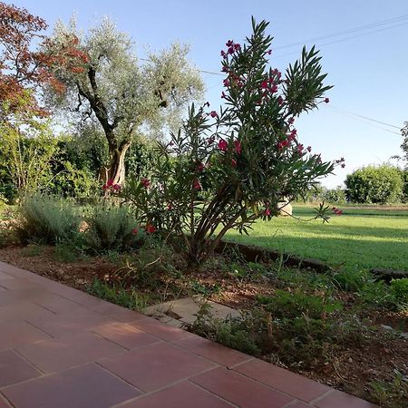 Villa Caterina Country Apartment Bedizzole Экстерьер фото